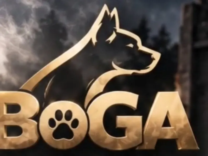 BOGA Pets Platform